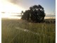 Lot 562, Koorda Wongan Hills Road, Badgerin Rock WA 6475
