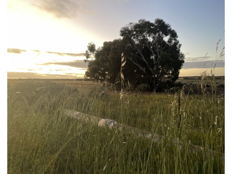 Lot 562, Koorda Wongan Hills Road, Badgerin Rock WA 6475