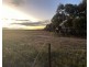 Lot 562, Koorda Wongan Hills Road, Badgerin Rock WA 6475