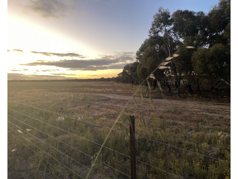 Lot 562, Koorda Wongan Hills Road, Badgerin Rock WA 6475