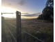 Lot 562, Koorda Wongan Hills Road, Badgerin Rock WA 6475