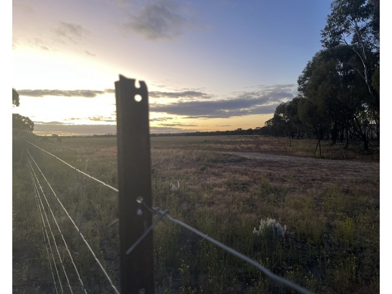 Lot 562, Koorda Wongan Hills Road, Badgerin Rock WA 6475