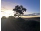 Lot 562, Koorda Wongan Hills Road, Badgerin Rock WA 6475