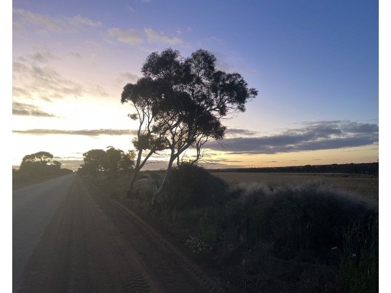 Lot 562, Koorda Wongan Hills Road, Badgerin Rock WA 6475