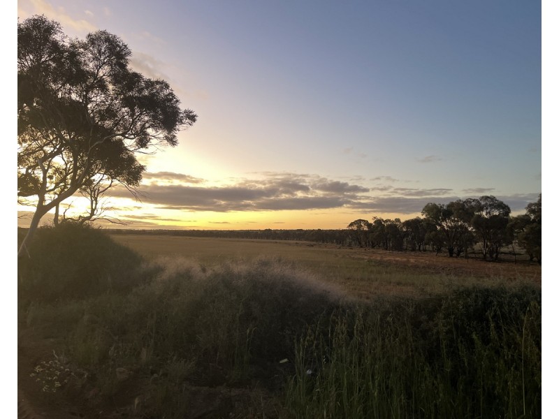 Lot 562, Koorda Wongan Hills Road, Badgerin Rock WA 6475