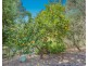 3 Aristea Place, Roleystone WA 6111