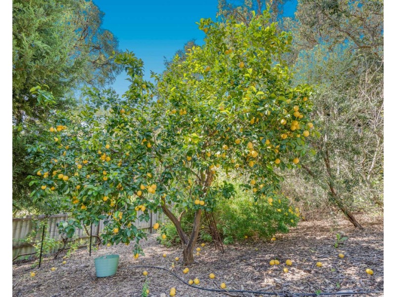 3 Aristea Place, Roleystone WA 6111