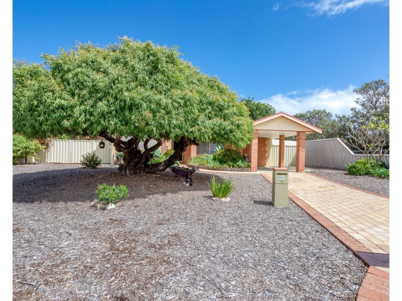 16 Ammerdown Place, Erskine WA 6210