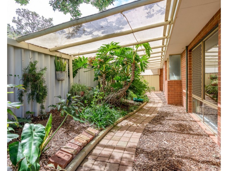 16 Ammerdown Place, Erskine WA 6210