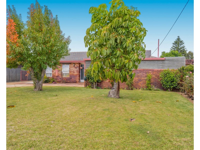 81 Lyrebird Way, Thornlie WA 6108