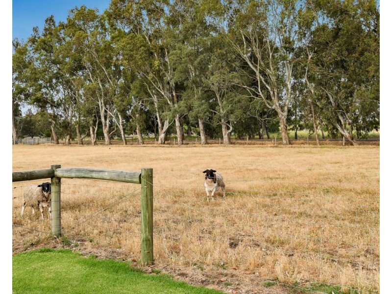 385 Young Road, Baldivis WA 6171