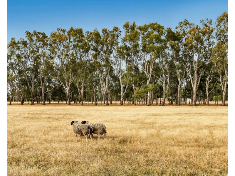 385 Young Road, Baldivis WA 6171
