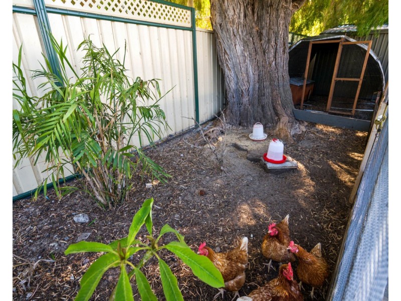 6 Warner Lane, Rockingham WA 6168