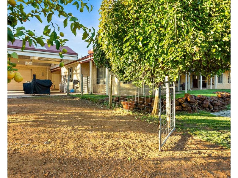 9 Kilfoyle Rise, Bedfordale WA 6112