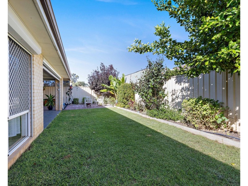 11 Coleus Way, Seville Grove WA 6112