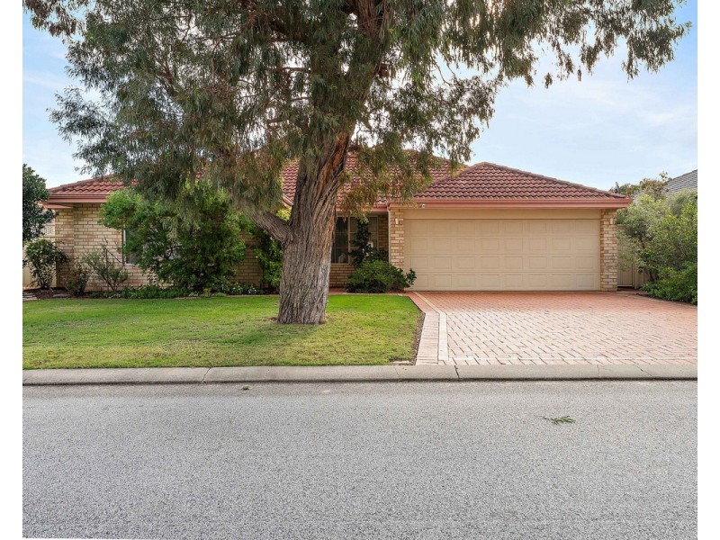 17 Granada Loop, Seville Grove WA 6112