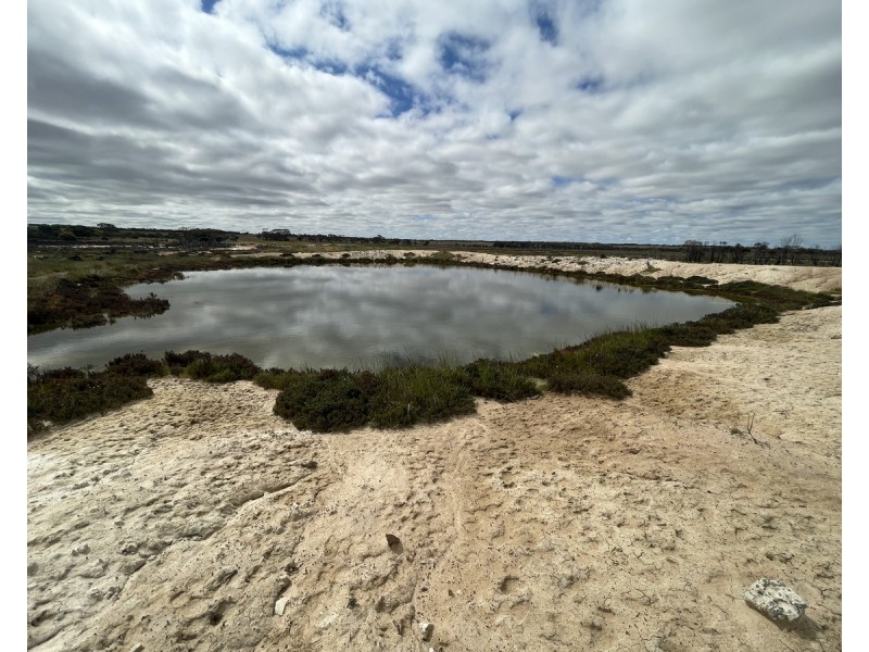 Lot 562,  Koorda Wongan Hills Road, Badgerin Rock WA 6475