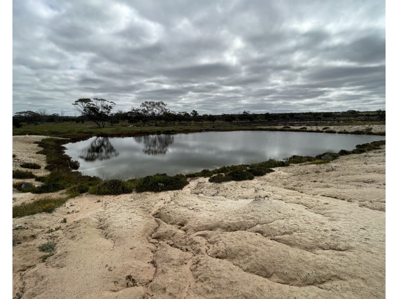 Lot 562,  Koorda Wongan Hills Road, Badgerin Rock WA 6475