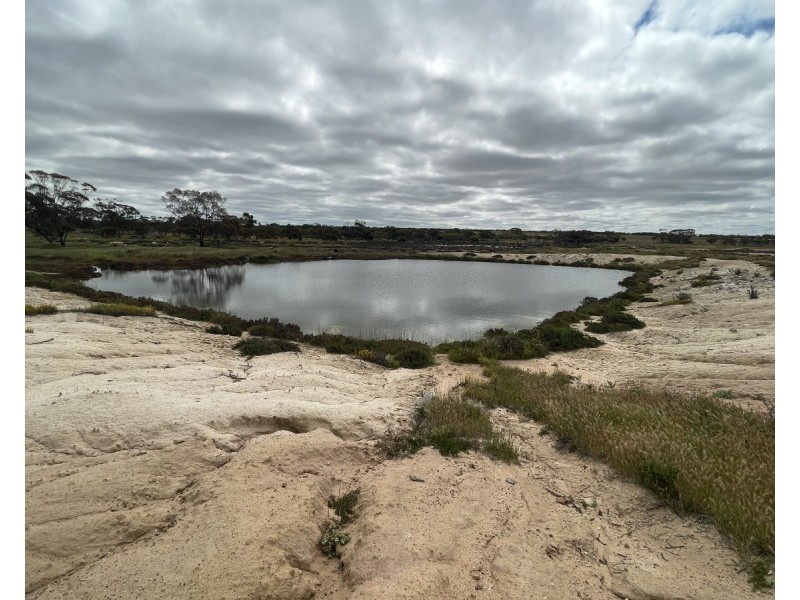 Lot 562,  Koorda Wongan Hills Road, Badgerin Rock WA 6475
