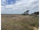 Lot 562,  Koorda Wongan Hills Road, Badgerin Rock WA 6475