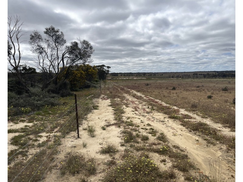 Lot 562,  Koorda Wongan Hills Road, Badgerin Rock WA 6475