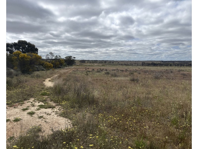 Lot 562,  Koorda Wongan Hills Road, Badgerin Rock WA 6475