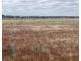 Lot 562,  Koorda Wongan Hills Road, Badgerin Rock WA 6475