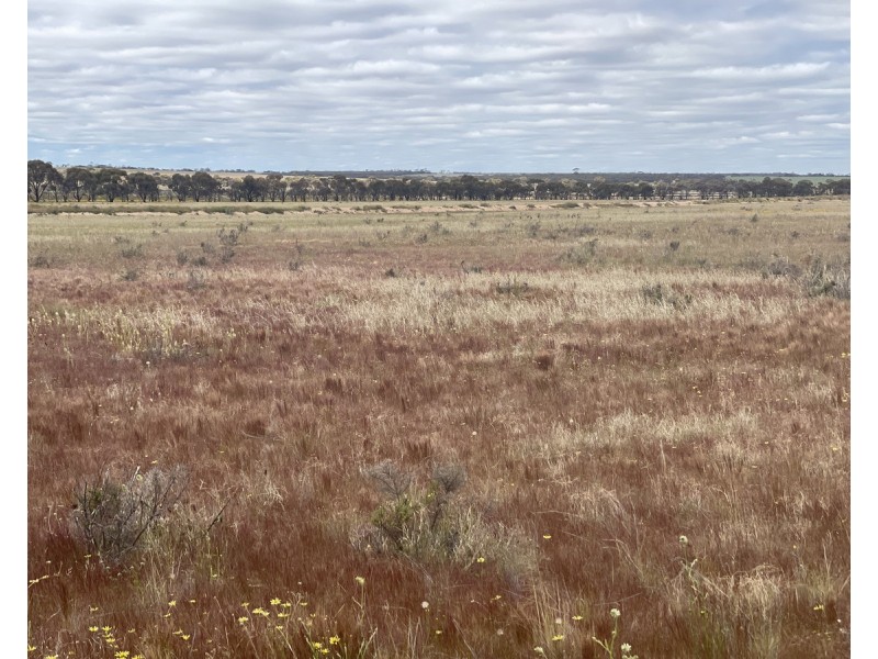 Lot 562,  Koorda Wongan Hills Road, Badgerin Rock WA 6475