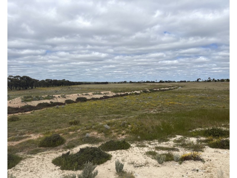 Lot 562,  Koorda Wongan Hills Road, Badgerin Rock WA 6475