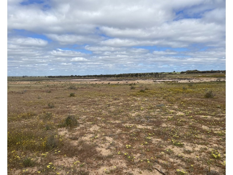 Lot 562,  Koorda Wongan Hills Road, Badgerin Rock WA 6475