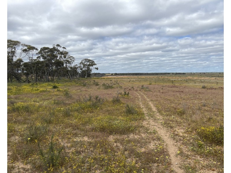 Lot 562,  Koorda Wongan Hills Road, Badgerin Rock WA 6475
