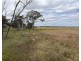 Lot 562,  Koorda Wongan Hills Road, Badgerin Rock WA 6475