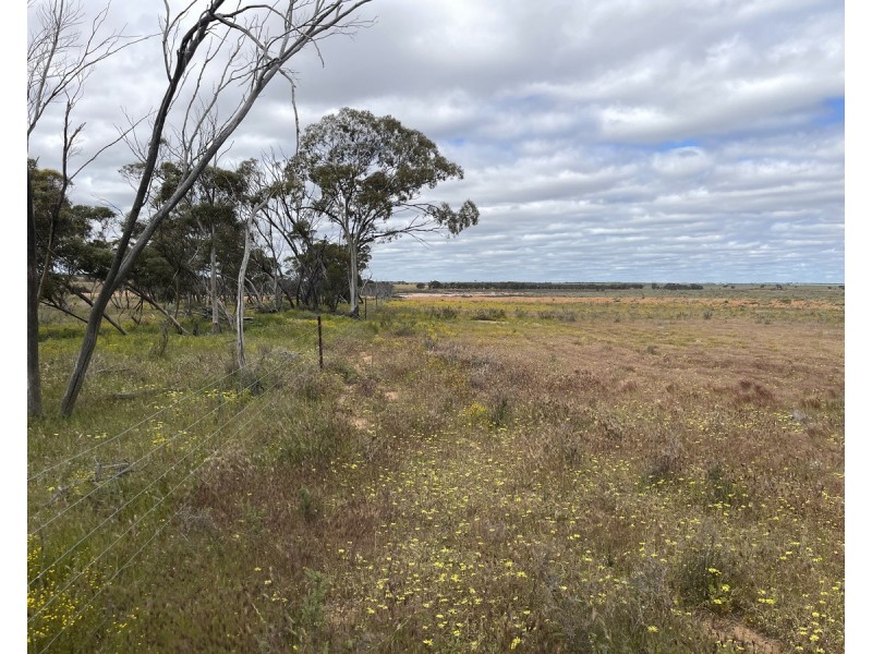 Lot 562,  Koorda Wongan Hills Road, Badgerin Rock WA 6475
