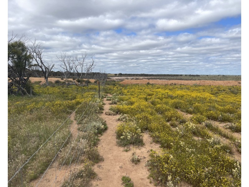 Lot 562,  Koorda Wongan Hills Road, Badgerin Rock WA 6475
