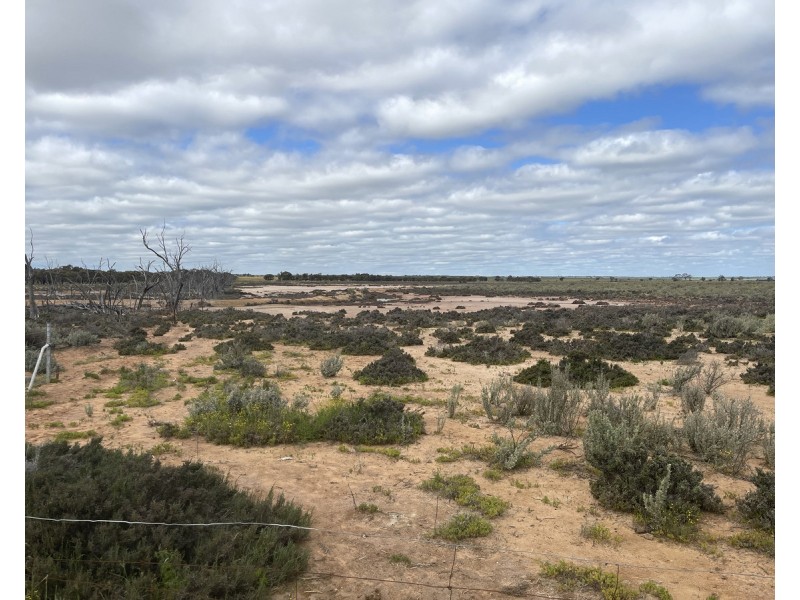 Lot 562,  Koorda Wongan Hills Road, Badgerin Rock WA 6475