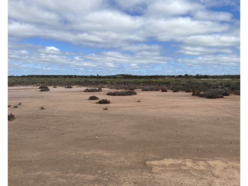 Lot 562,  Koorda Wongan Hills Road, Badgerin Rock WA 6475