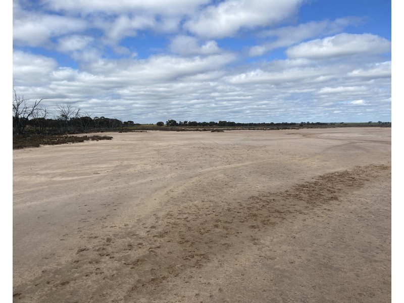 Lot 562,  Koorda Wongan Hills Road, Badgerin Rock WA 6475