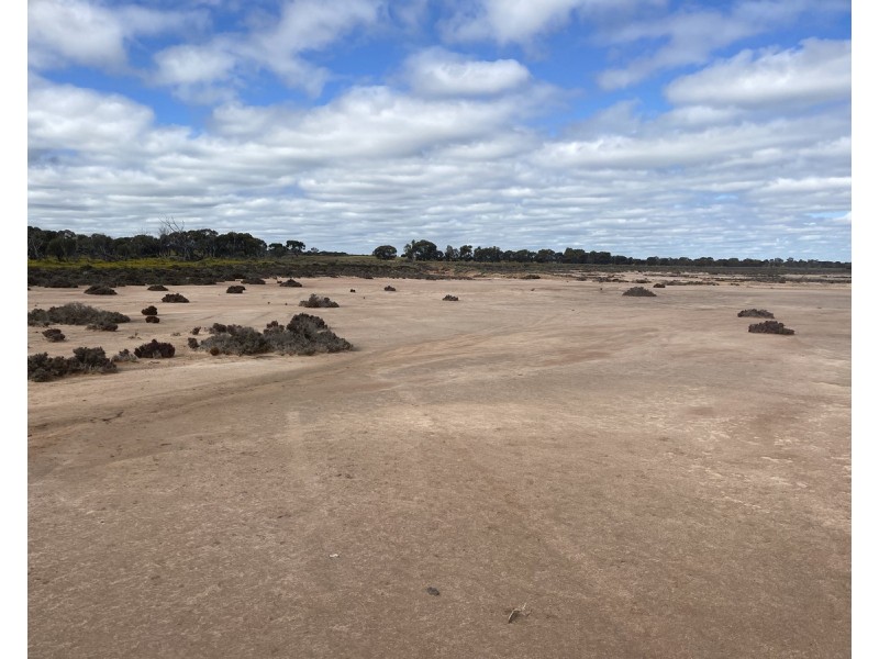 Lot 562,  Koorda Wongan Hills Road, Badgerin Rock WA 6475