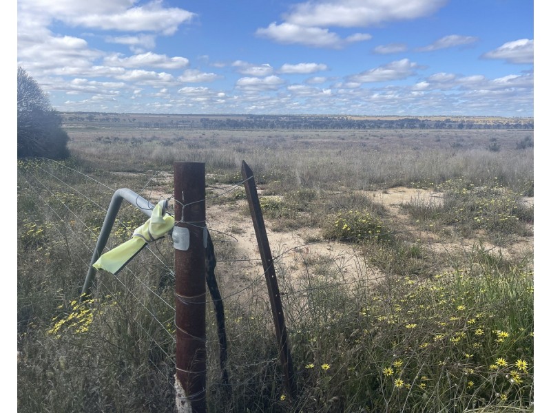 Lot 562,  Koorda Wongan Hills Road, Badgerin Rock WA 6475
