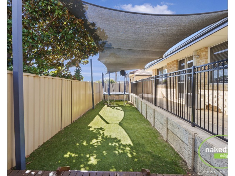 11 Hybanthus Avenue, High Wycombe WA 6057