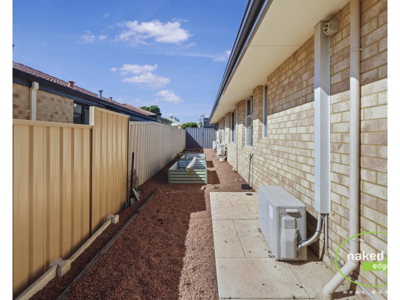 11 Hybanthus Avenue, High Wycombe WA 6057