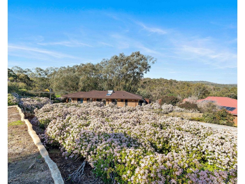 8 Ophelia Grove, Mount Nasura WA 6112