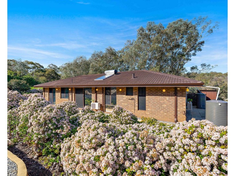 8 Ophelia Grove, Mount Nasura WA 6112
