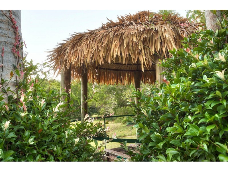 78 Narrows Road, Montville QLD 4560