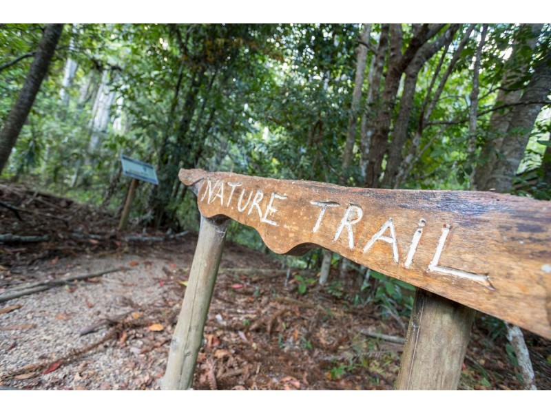 78 Narrows Road, Montville QLD 4560