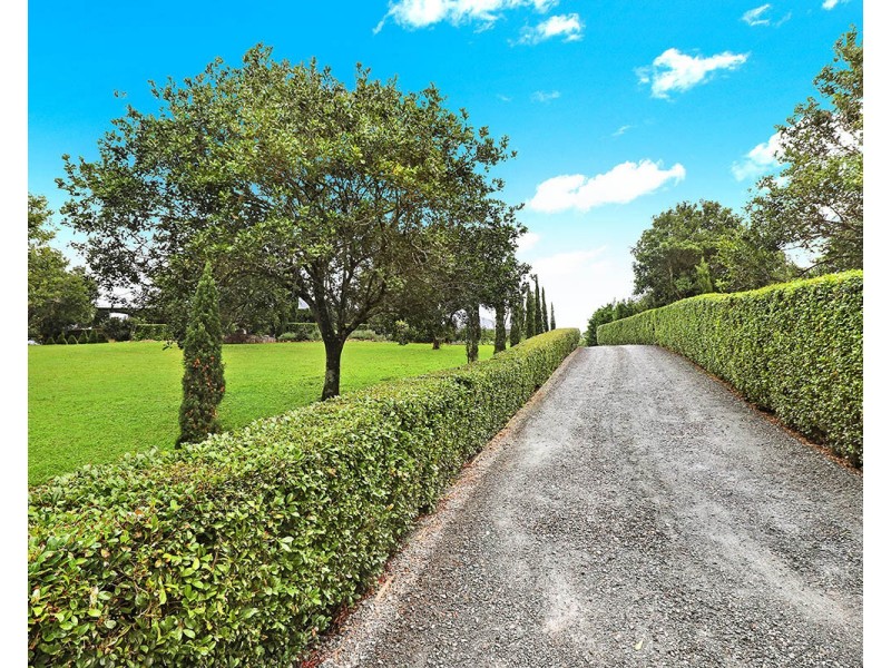 14 Balmoral Road, Montville QLD 4560