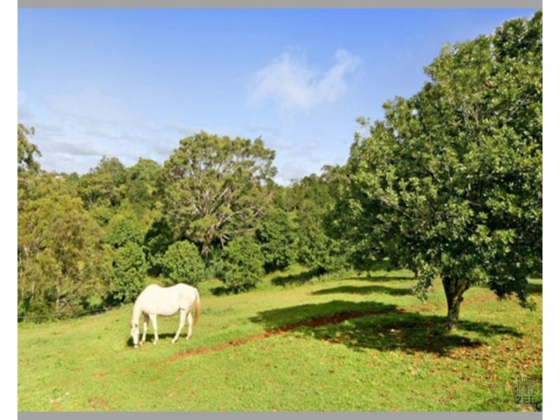 14 Balmoral Road, Montville QLD 4560