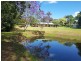 24 Ravensberg Drive, Witta QLD 4552