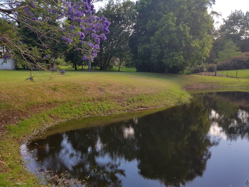 24 Ravensberg Drive, Witta QLD 4552