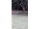 24 Ravensberg Drive, Witta QLD 4552